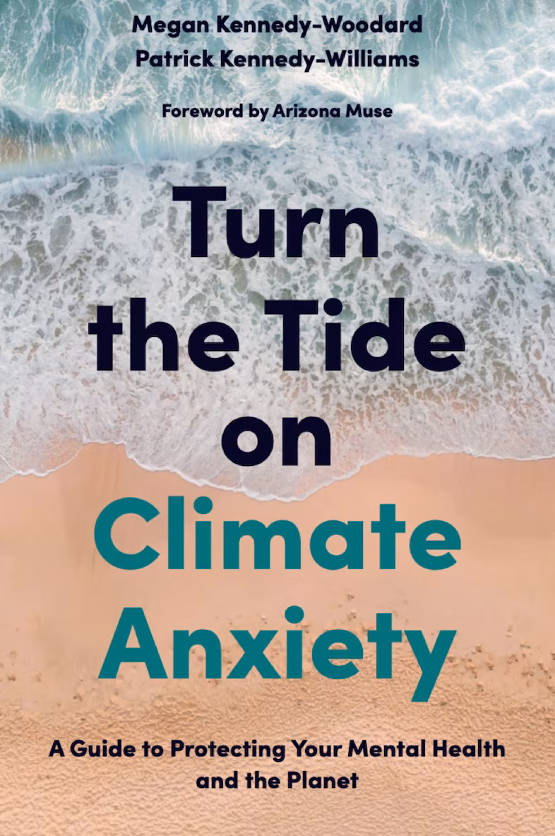 Как справляться с eco-anxiety: 4 практичных шага от психолога