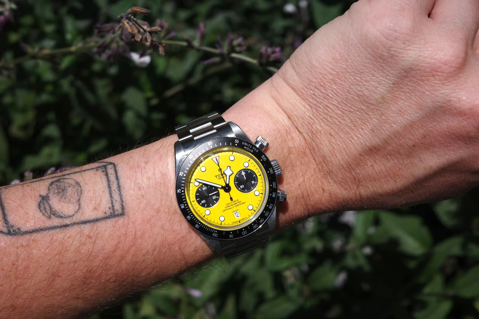 Tudor представила Black Bay Chrono 39: «Bumblebee» стал компактнее и ярче